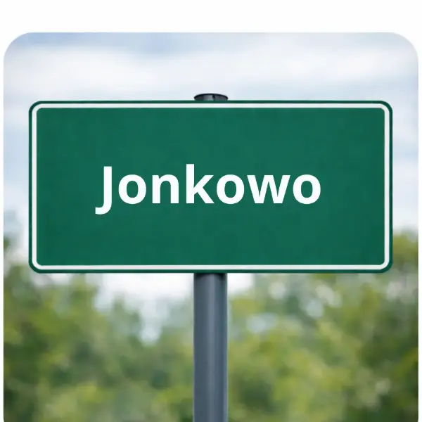 Duża działka  rolna pod Jonkowem,po uzyskaniu służebności można podzielić na inne i sprzedac z zyskiem