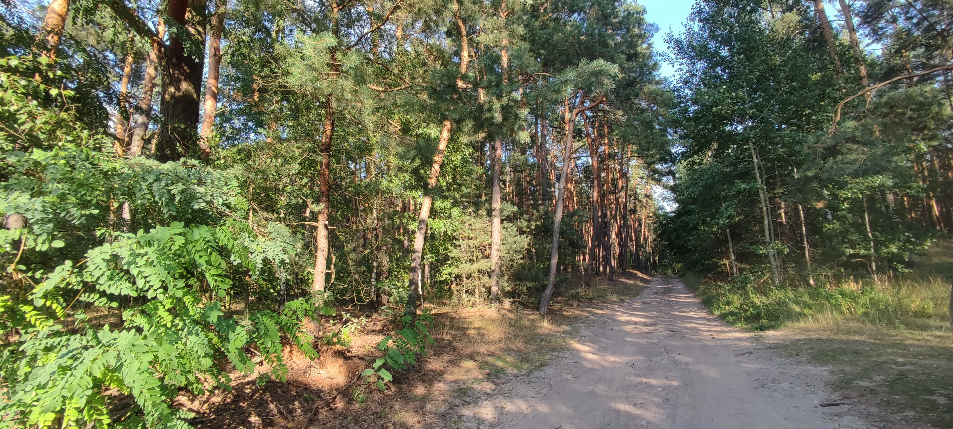 udział 1/2 w działce pod Piasecznem w pięknej okolicy przy rzece