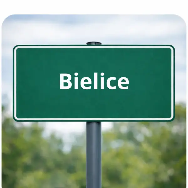 Działka  z domem i budynkami gospodarczymi 