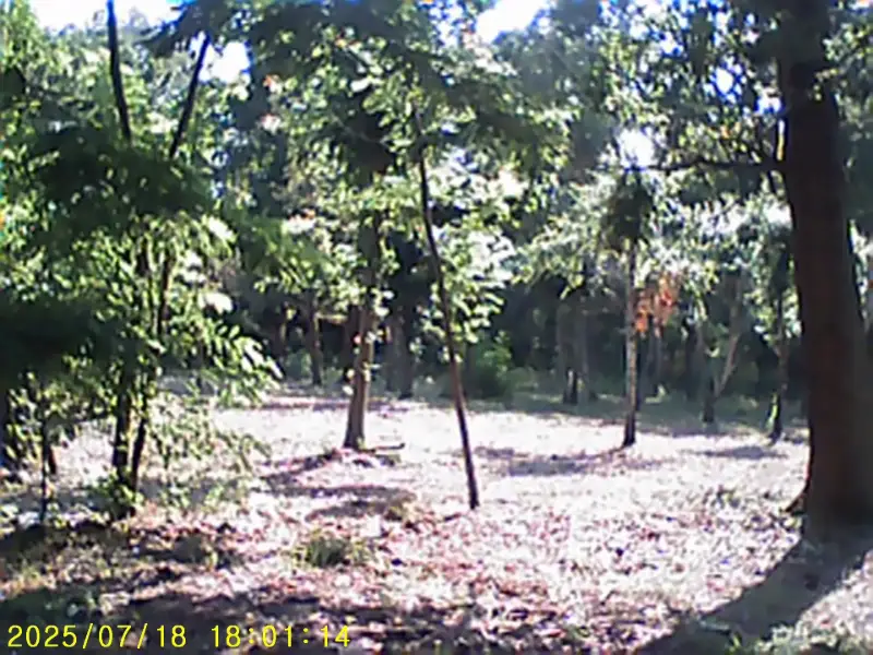 Działka budowlana – świetna lokalizacja, MPZP, media