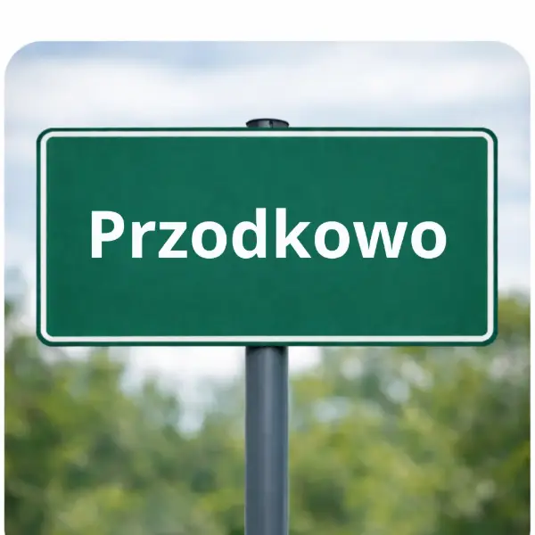 Dom z jedną zameldowana osoba